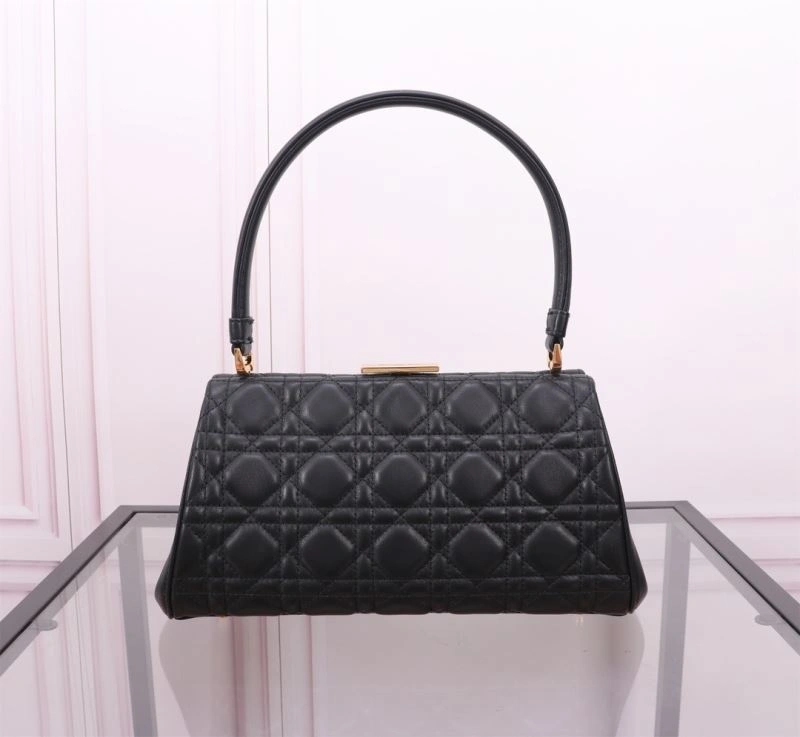 Efficient Christian Dior Other Bags 75799