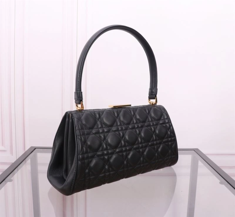 Efficient Christian Dior Other Bags 75799
