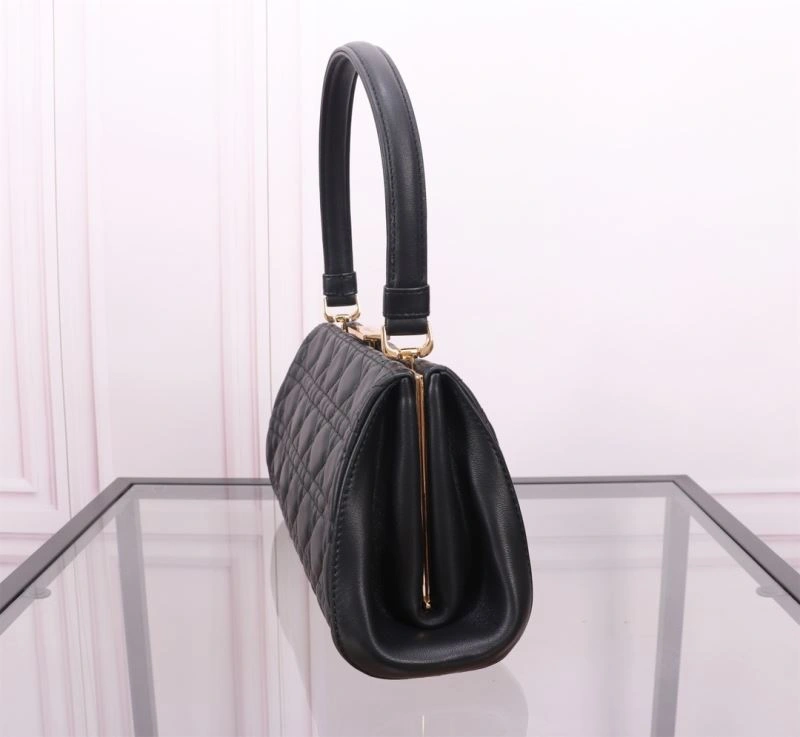 Efficient Christian Dior Other Bags 75799