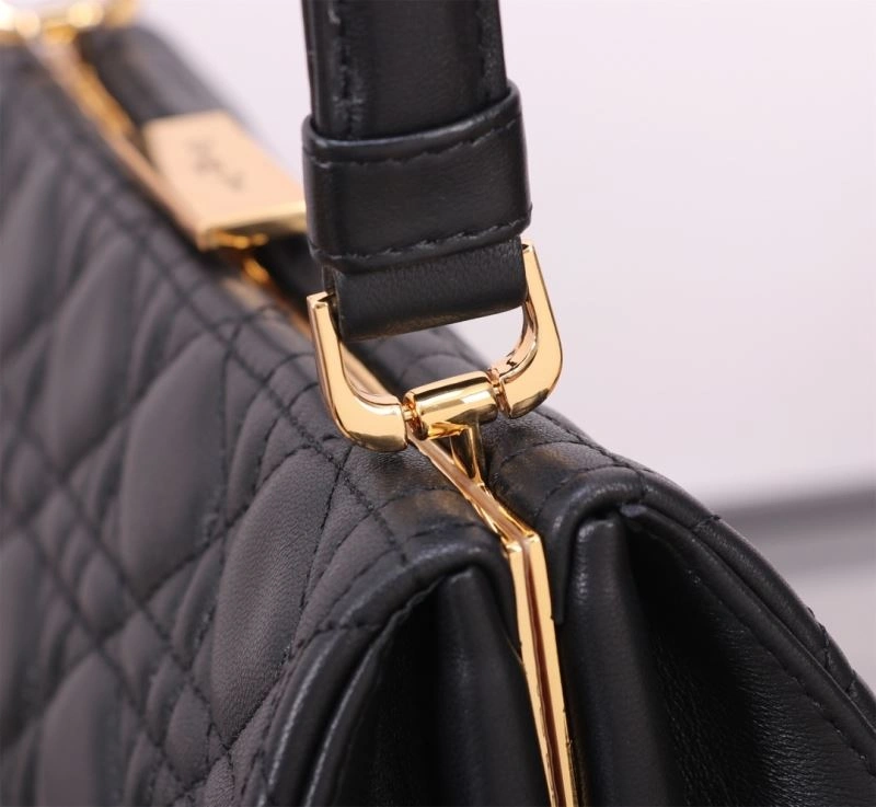Efficient Christian Dior Other Bags 75799