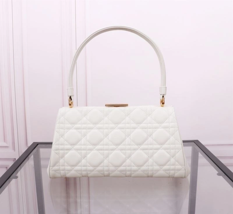 Christian Dior Other Bags Sleek 75793