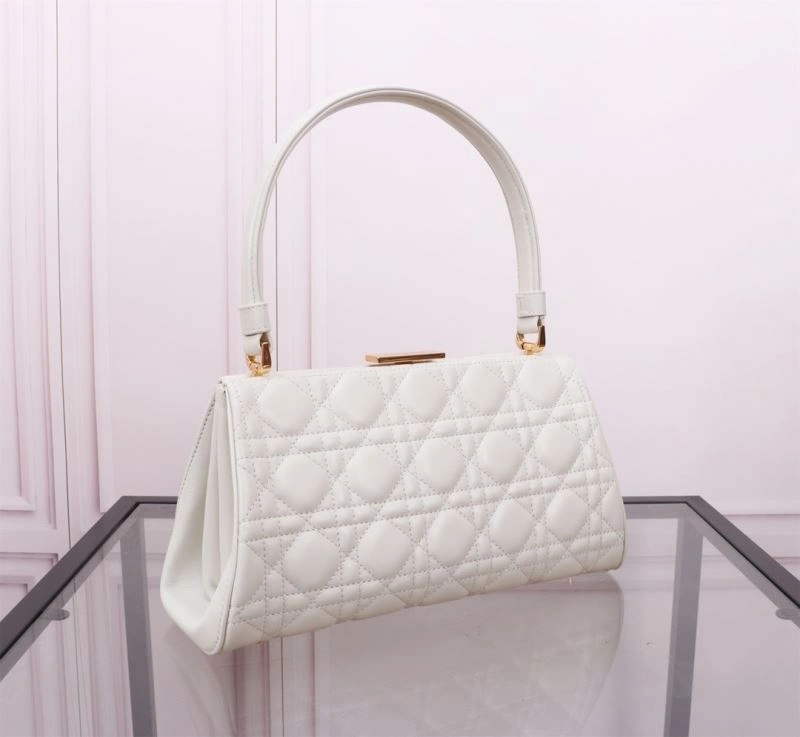 Christian Dior Other Bags Sleek 75793