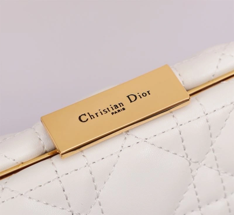 Christian Dior Other Bags Sleek 75793