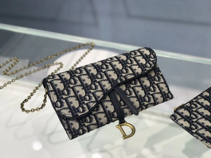 Popular Christian Dior Other Bags 75764