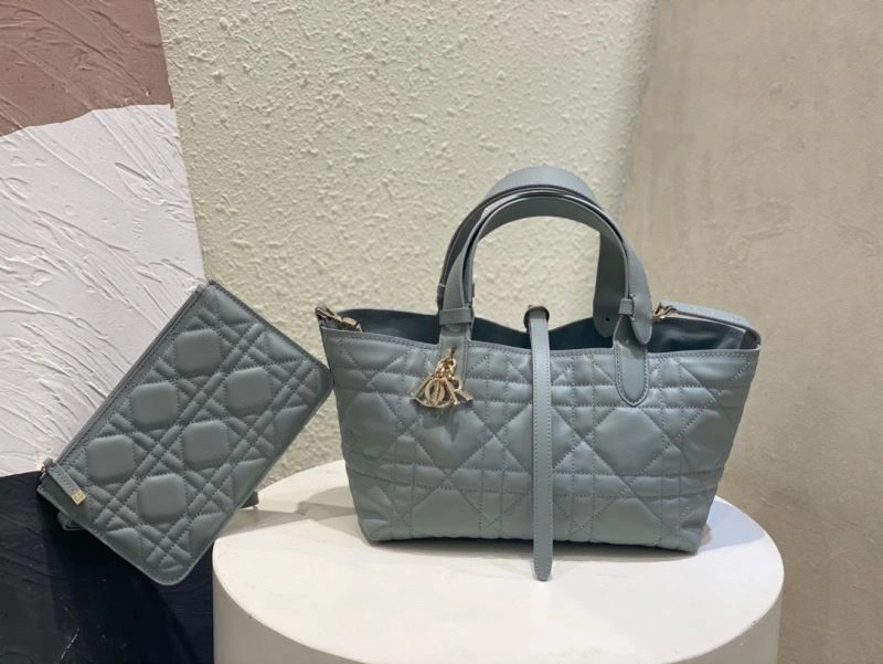 SmoothTexture Christian Dior Other Bags 75732