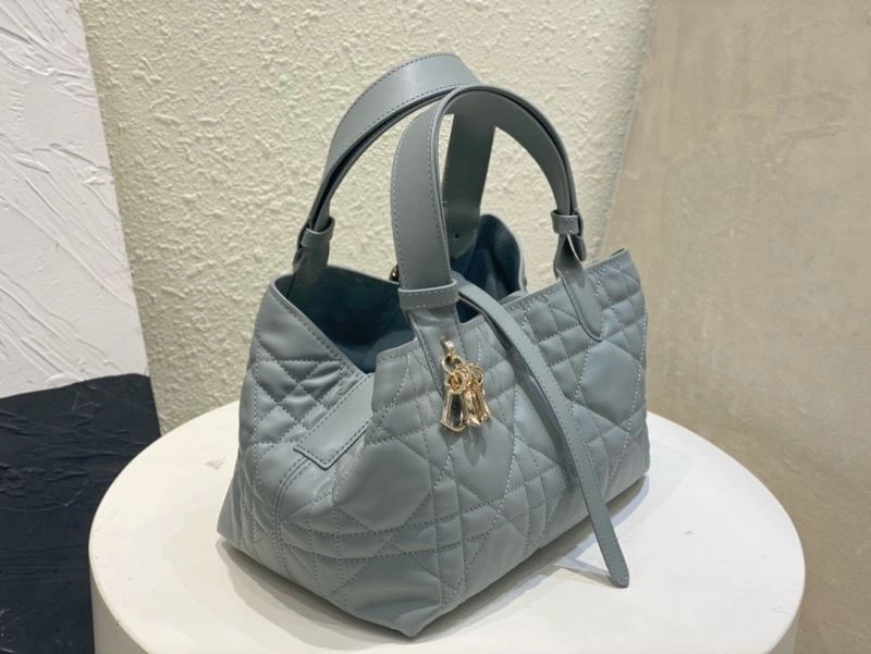 SmoothTexture Christian Dior Other Bags 75732
