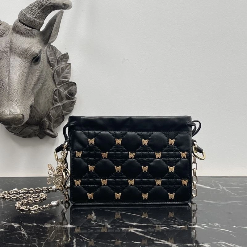 Christian Dior Other Bags Affordable 74052