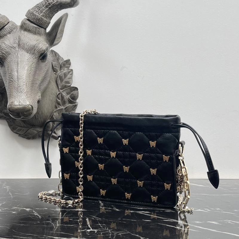 Christian Dior Other Bags Affordable 74052
