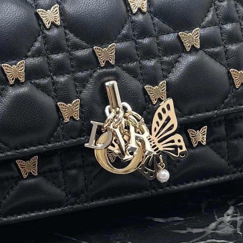 Christian Dior Other Bags Affordable 74050
