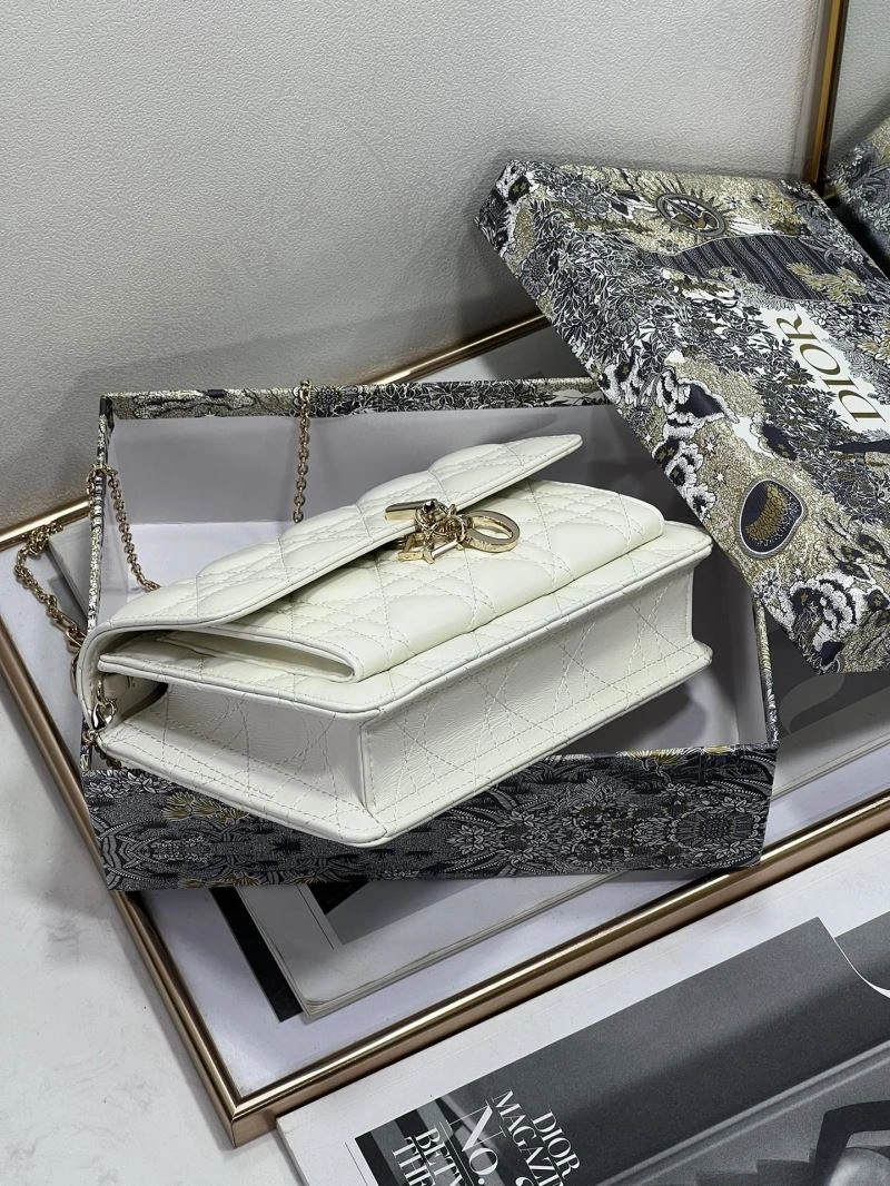 Original Christian Dior Other Bags 74041