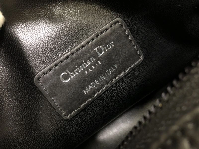 Christian Dior Other Bags Resilient 70777