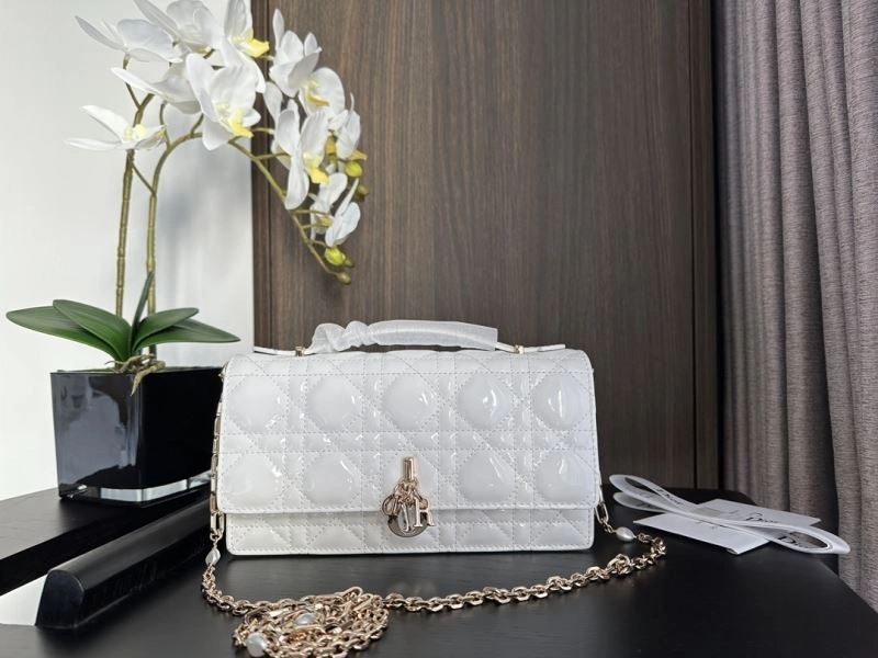 Christian Dior Other Bags Sleek 70755