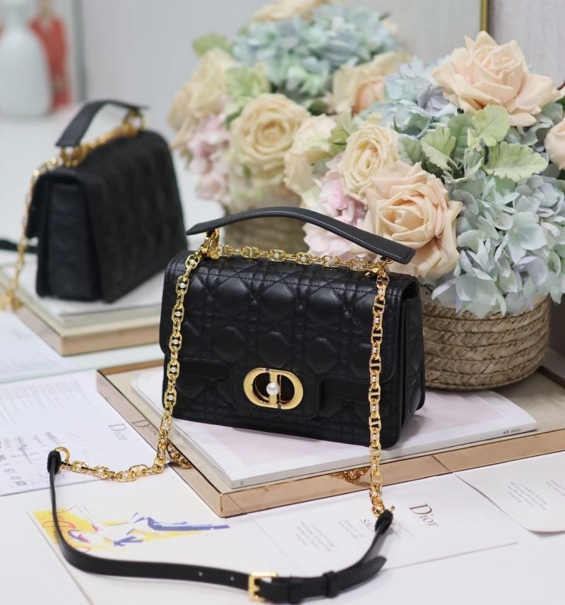 DailyWear Christian Dior Other Bags 70726