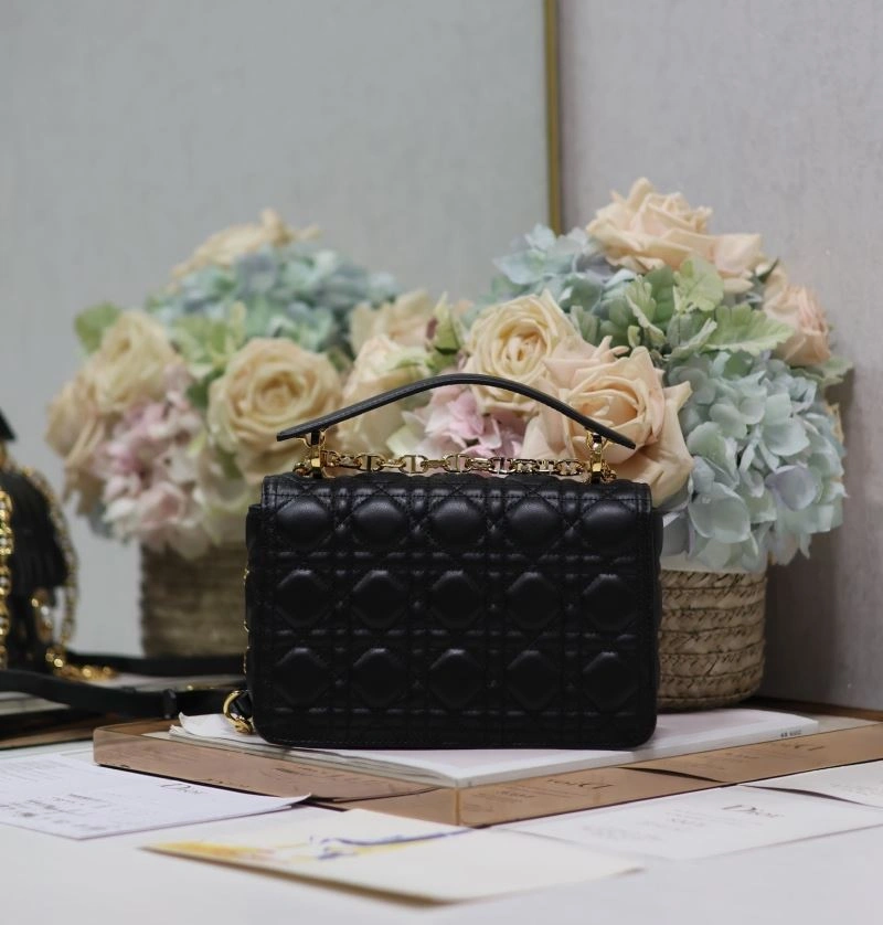 DailyWear Christian Dior Other Bags 70726