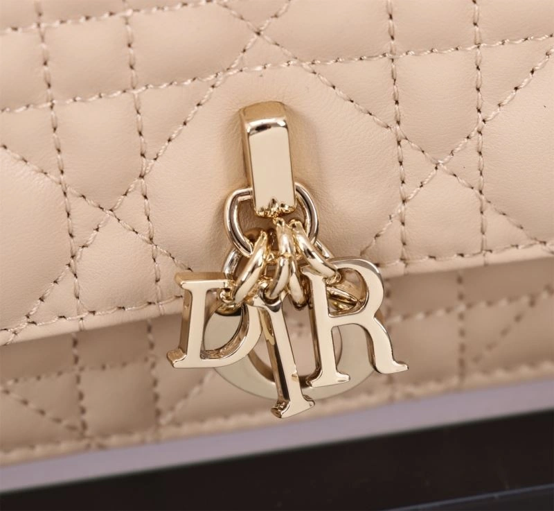 Lightweight Christian Dior Other Bags 70709