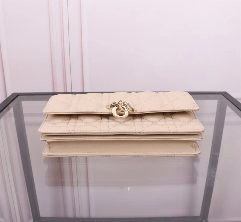 Lightweight Christian Dior Other Bags 70709