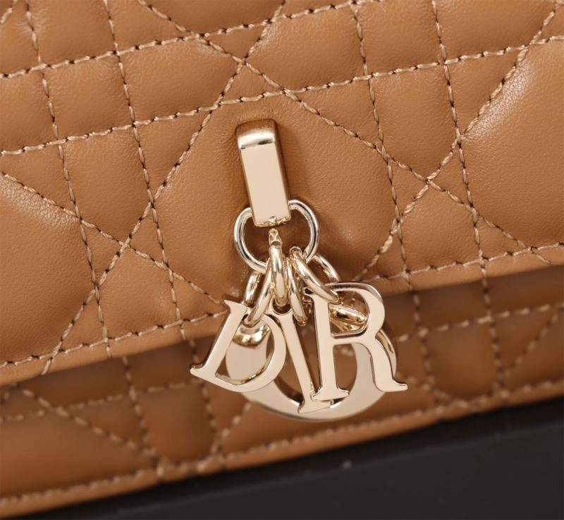 WrinkleFree Christian Dior Other Bags 70758