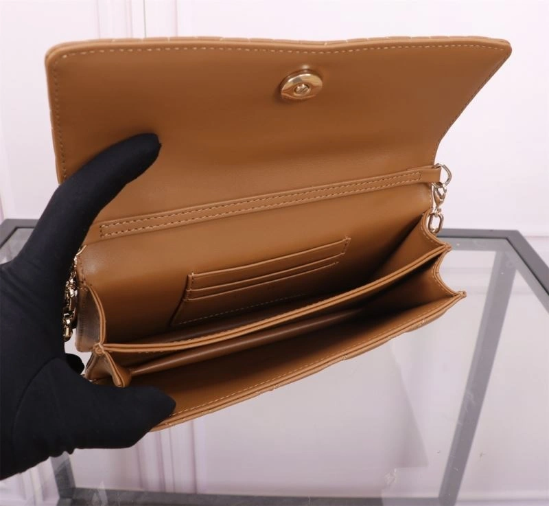 WrinkleFree Christian Dior Other Bags 70758