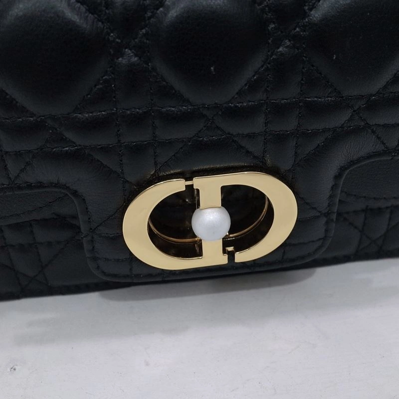 Christian Dior Other Bags WrinkleFree 70705