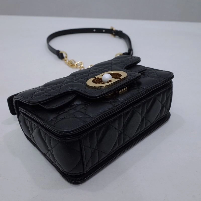 Christian Dior Other Bags WrinkleFree 70705