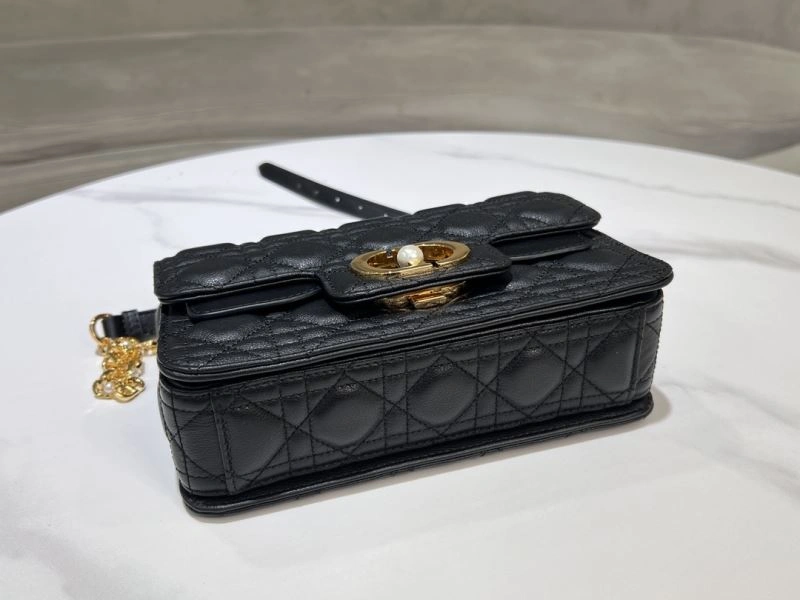 Christian Dior Other Bags WrinkleFree 70587