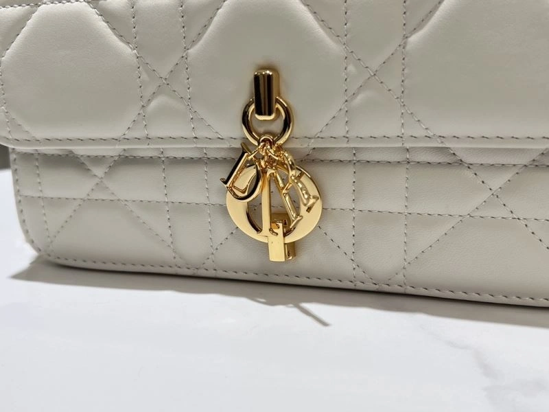 MoistureWicking Christian Dior Other Bags 70622