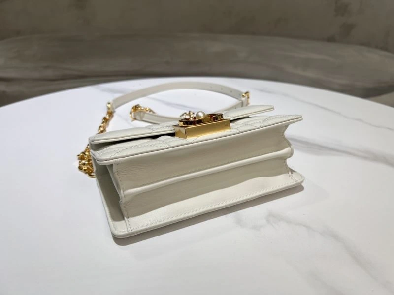 Christian Dior Other Bags Affordable 70571