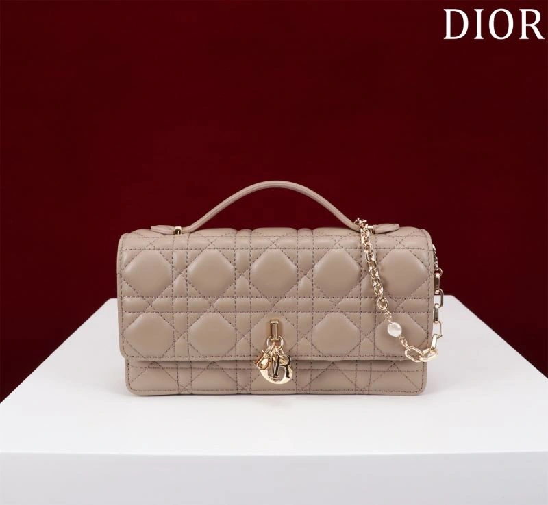 Efficient Christian Dior Other Bags 64046