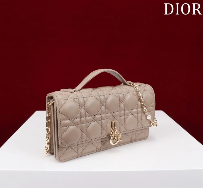 Efficient Christian Dior Other Bags 64046