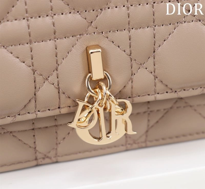 Efficient Christian Dior Other Bags 64046