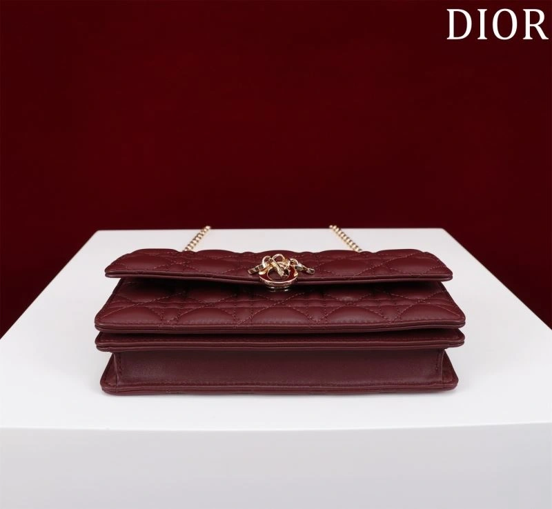 Fashionable Christian Dior Other Bags 64006