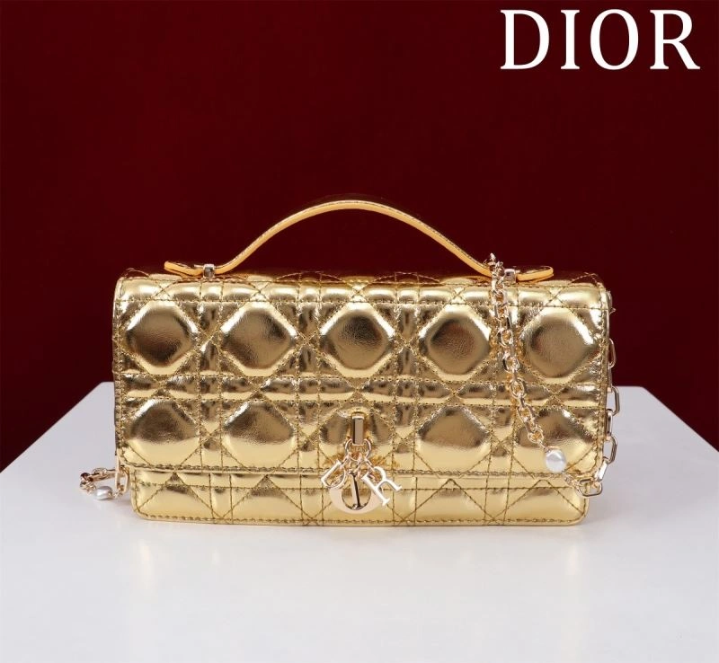 StreetReady Christian Dior Other Bags 63974