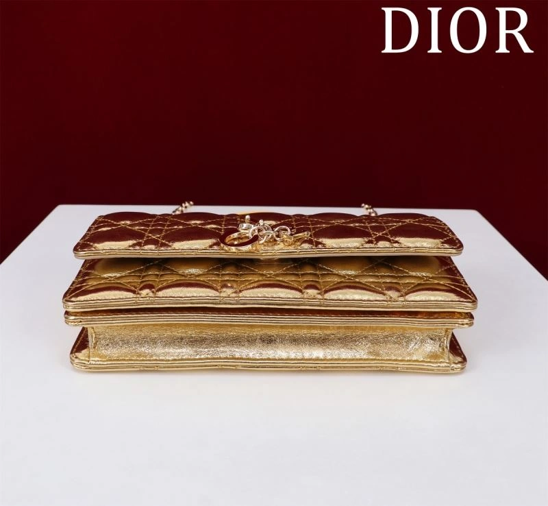 StreetReady Christian Dior Other Bags 63974