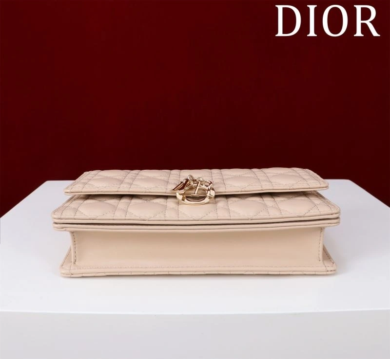 FastDry Christian Dior Other Bags 63963