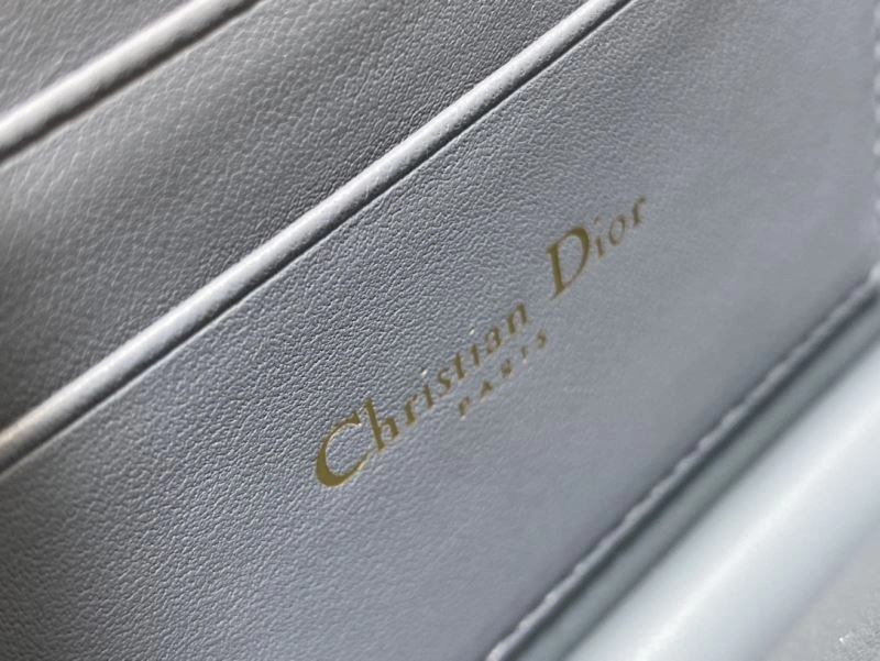 Christian Dior Other Bags Vibrant 63938