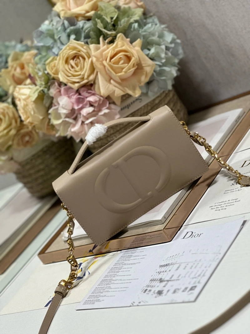 StreetReady Christian Dior Other Bags 71415