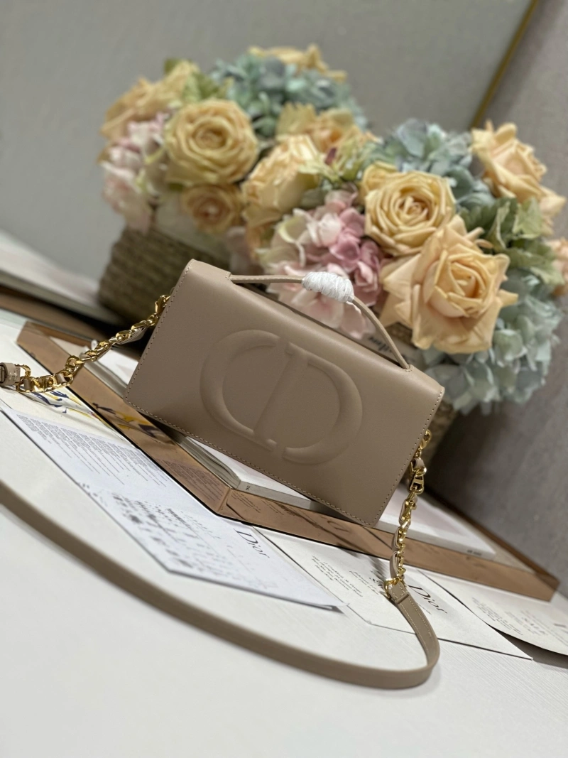StreetReady Christian Dior Other Bags 71415
