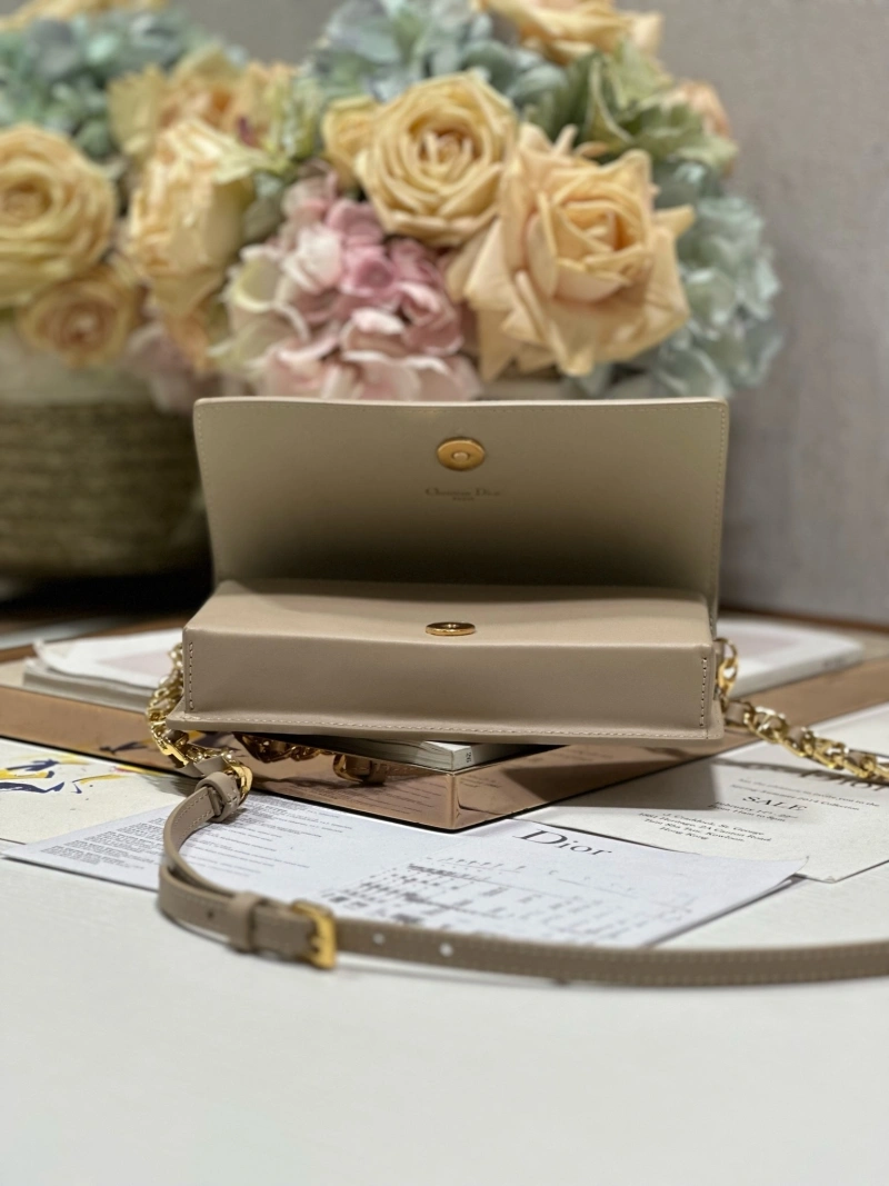 StreetReady Christian Dior Other Bags 71415