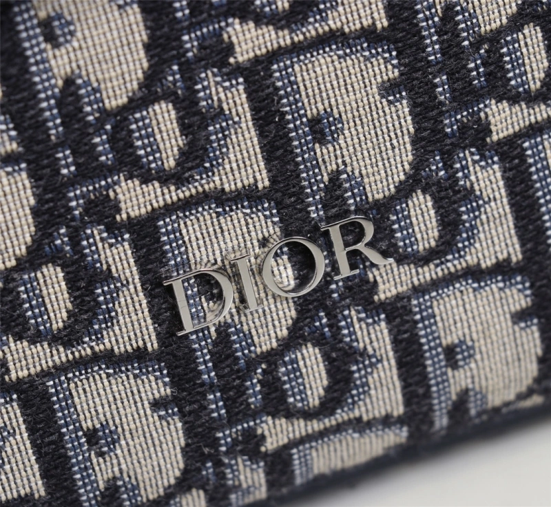 Christian Dior Other Bags Resilient 71428