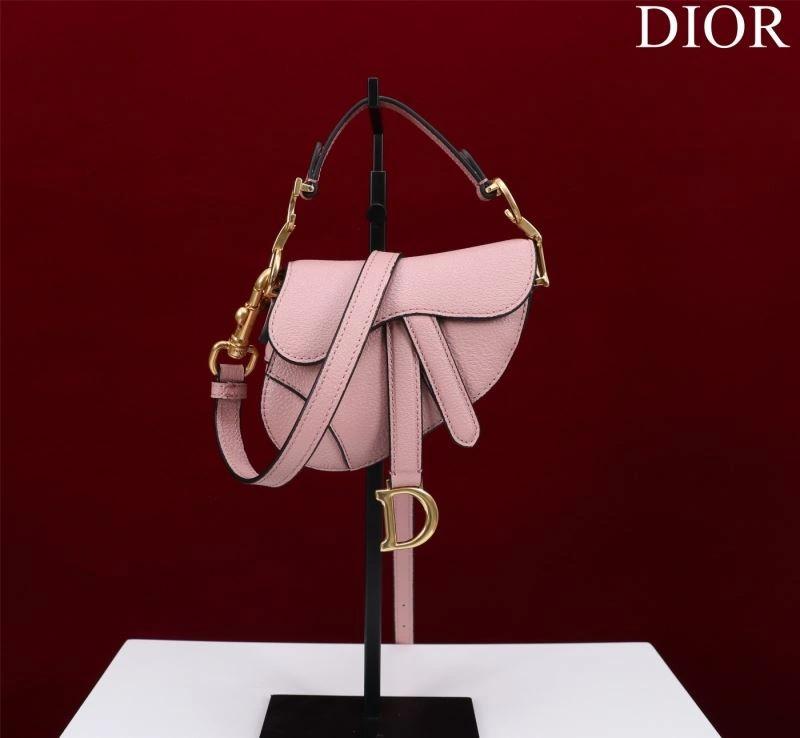 Functional Christian Dior Saddle Bags 76253