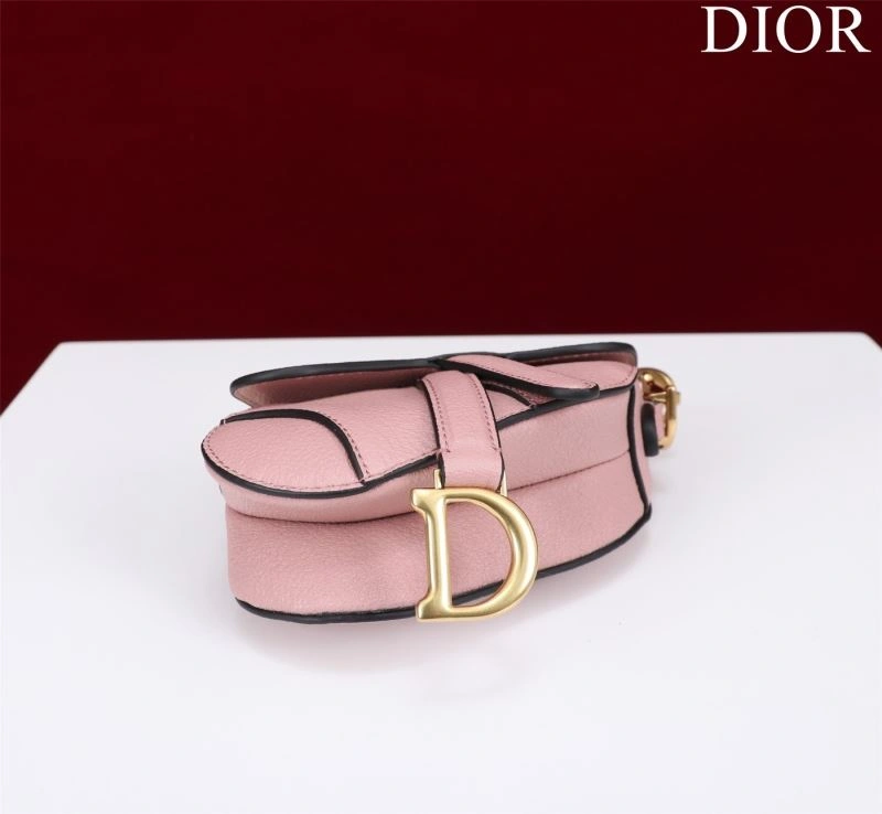 Functional Christian Dior Saddle Bags 76253
