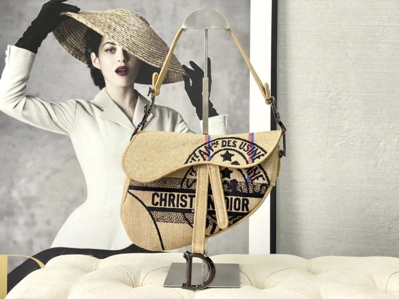Christian Dior Saddle Bags Timeless 76246