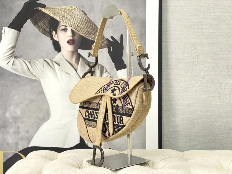 Christian Dior Saddle Bags Timeless 76246