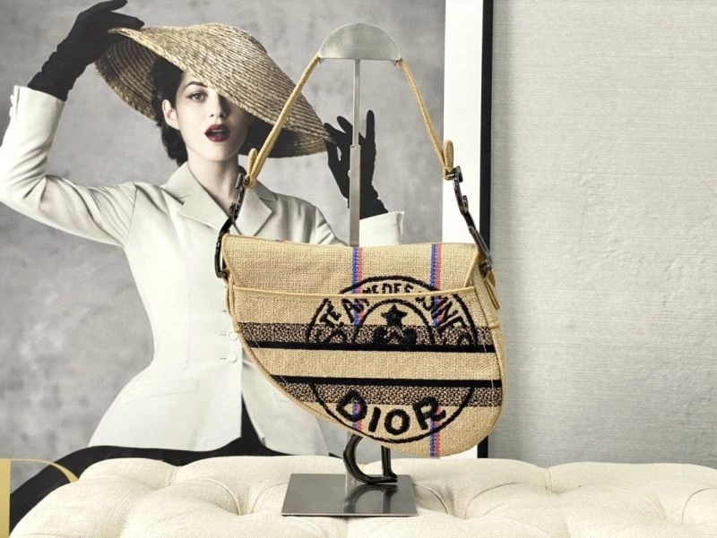 Christian Dior Saddle Bags Timeless 76246