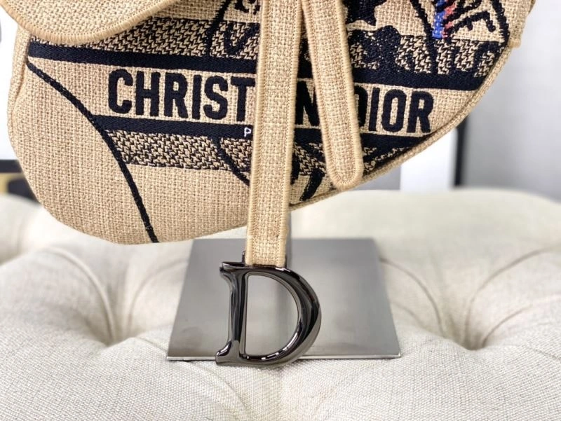 Christian Dior Saddle Bags Timeless 76246