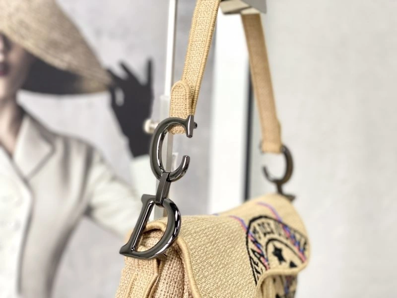 Christian Dior Saddle Bags Timeless 76246