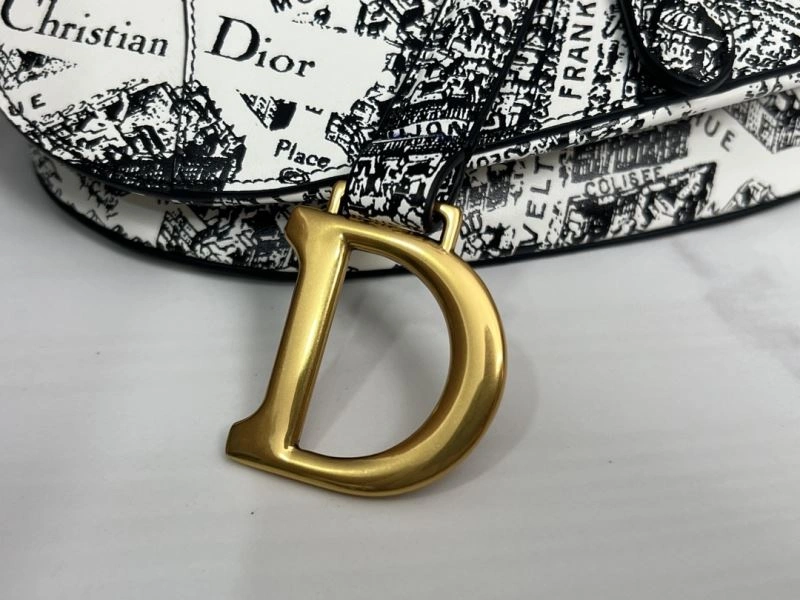 Efficient Christian Dior Saddle Bags 75682
