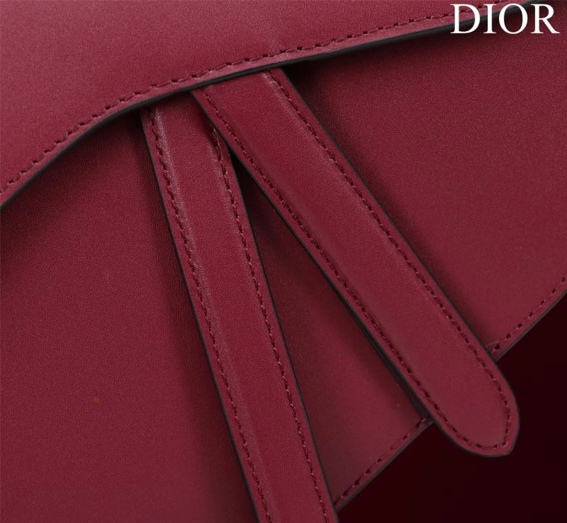 HighPerformance Christian Dior Saddle Bags 75661