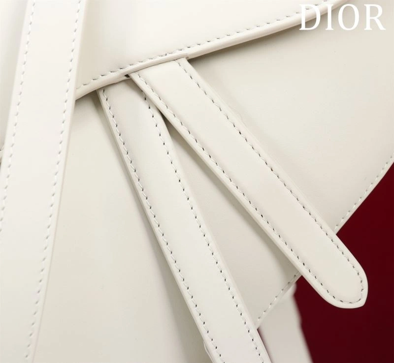 OdorResistant Christian Dior Saddle Bags 75666
