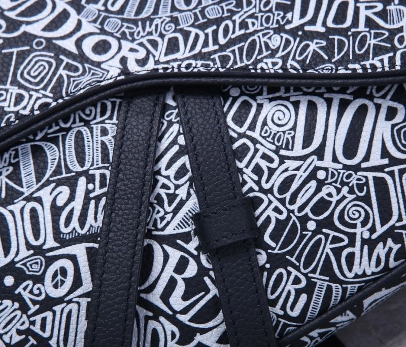 Christian Dior Saddle Bags Bold 70545